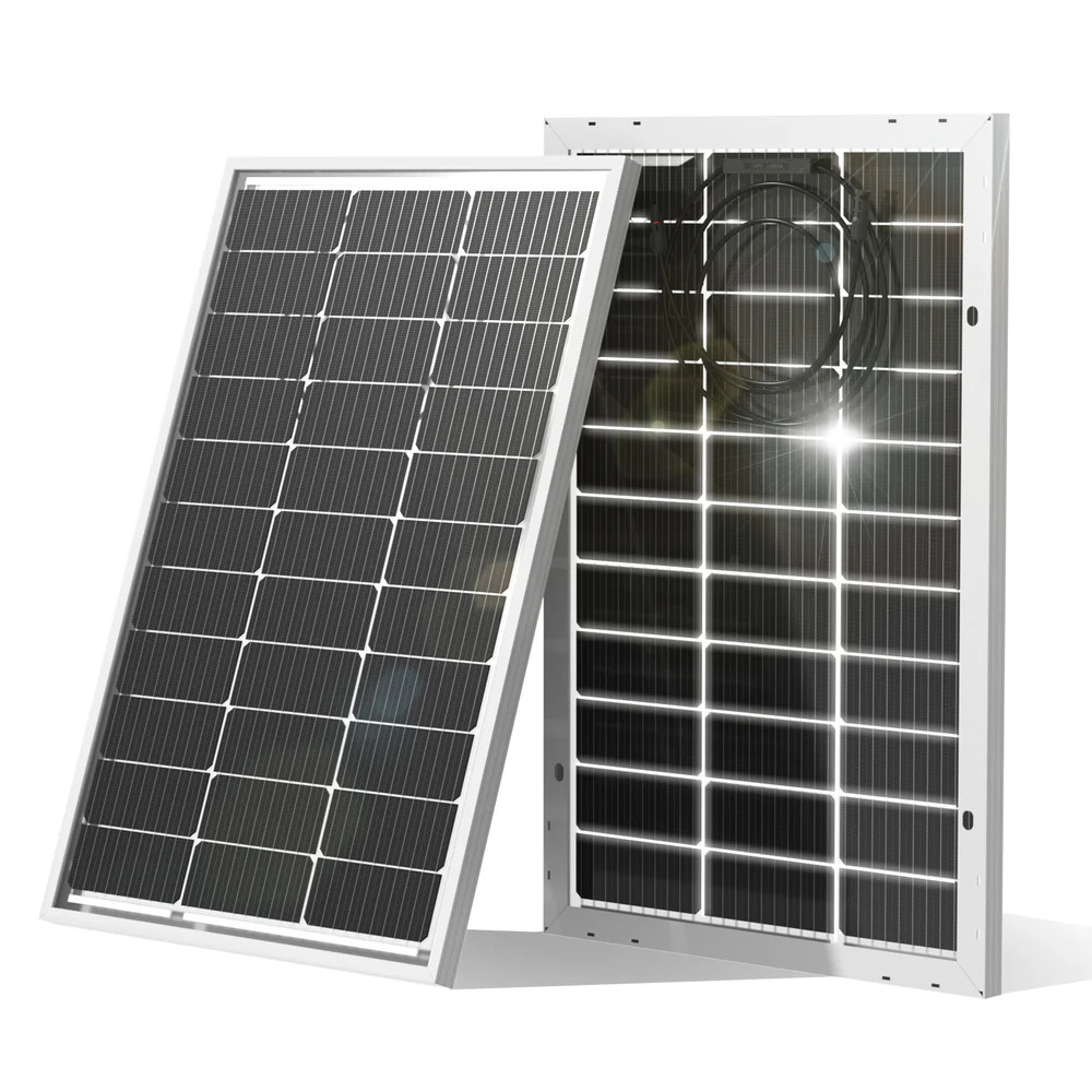 Eco-Worthy 100W 12V Bifacial Solar Panels | Pack Of 2 - Signature Solar